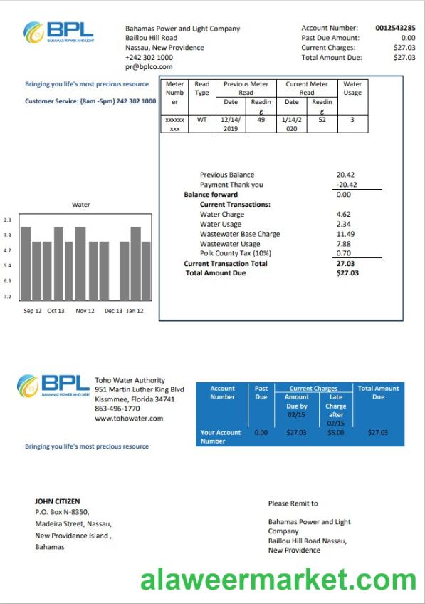 Bahamas Power and Light Company utility bill template in Word and PDF format